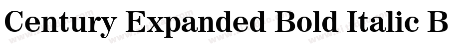Century Expanded Bold Italic BT字体转换